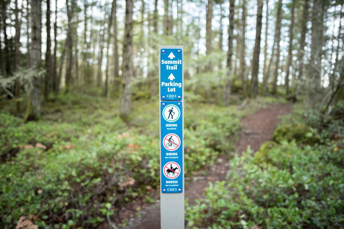 A blue signpost indicating Summit Trail sits along a dirt path in the forest.