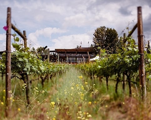 Award-winning winery Summerhill Pyramid Winery in Kelowna.