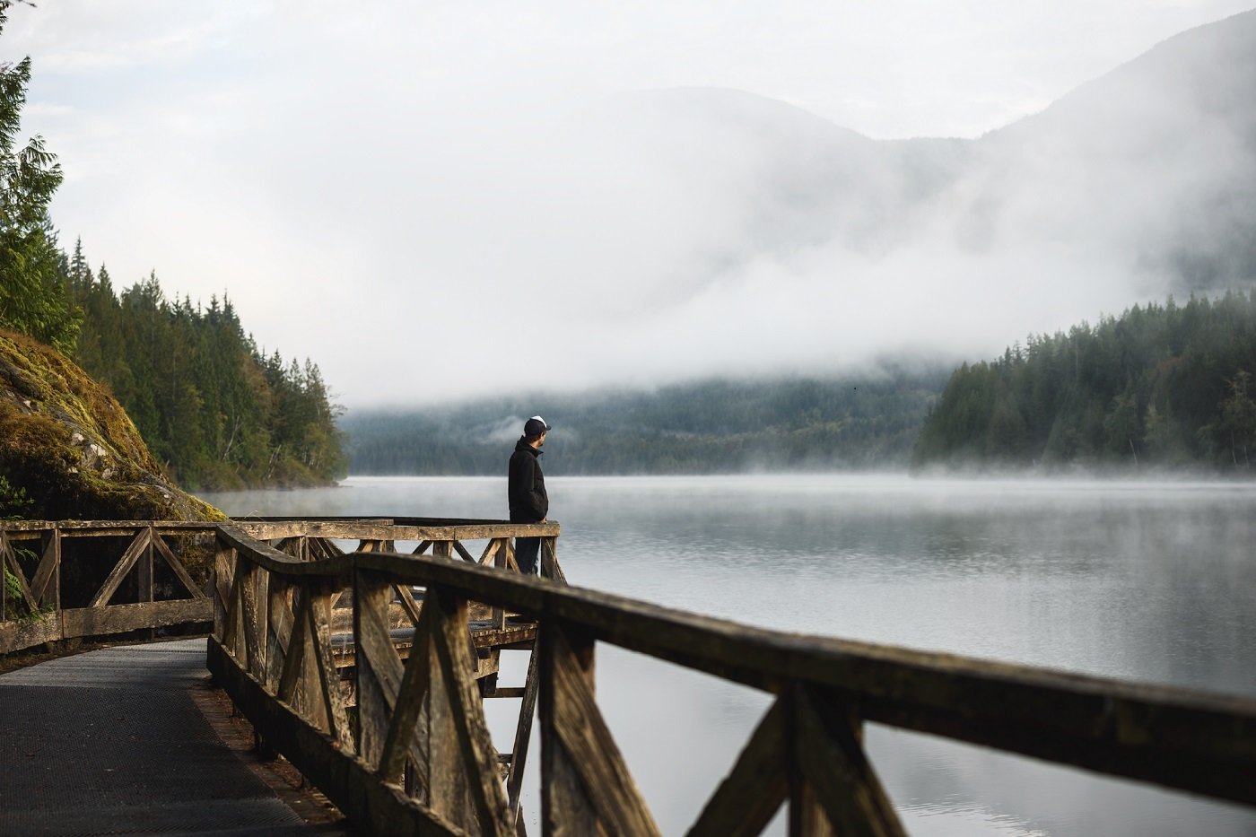 A contemplative moment on a misty morning along the Sunshine Coast Trail in Inland Lake Provincial Park, BC.