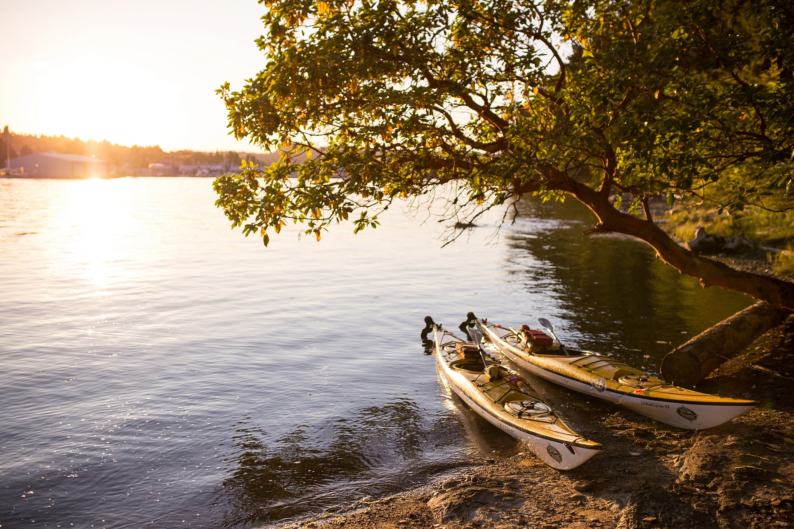 Kayaks on beach Nanaimo Harbour