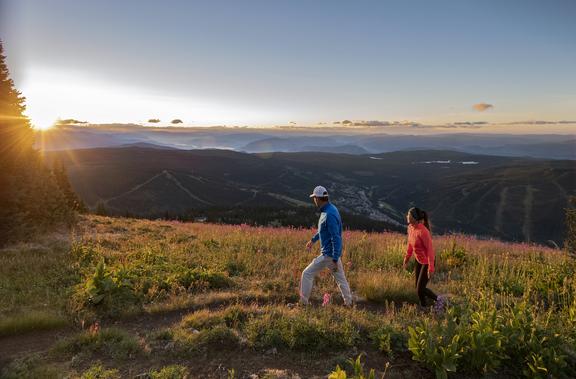 Two people hike through an alpine meadow.