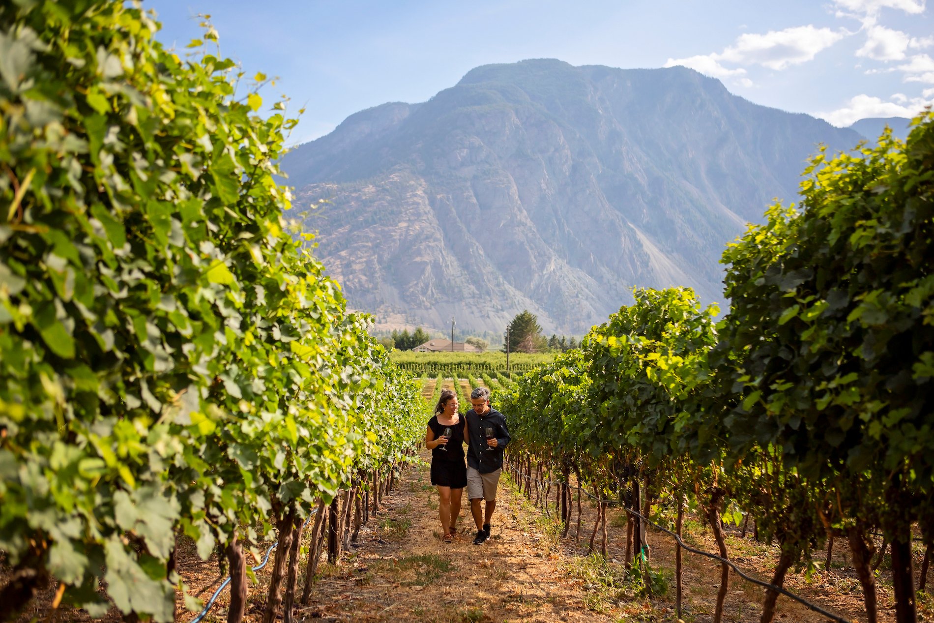 Couple walking through a vineyard in the Similkameen Valley.