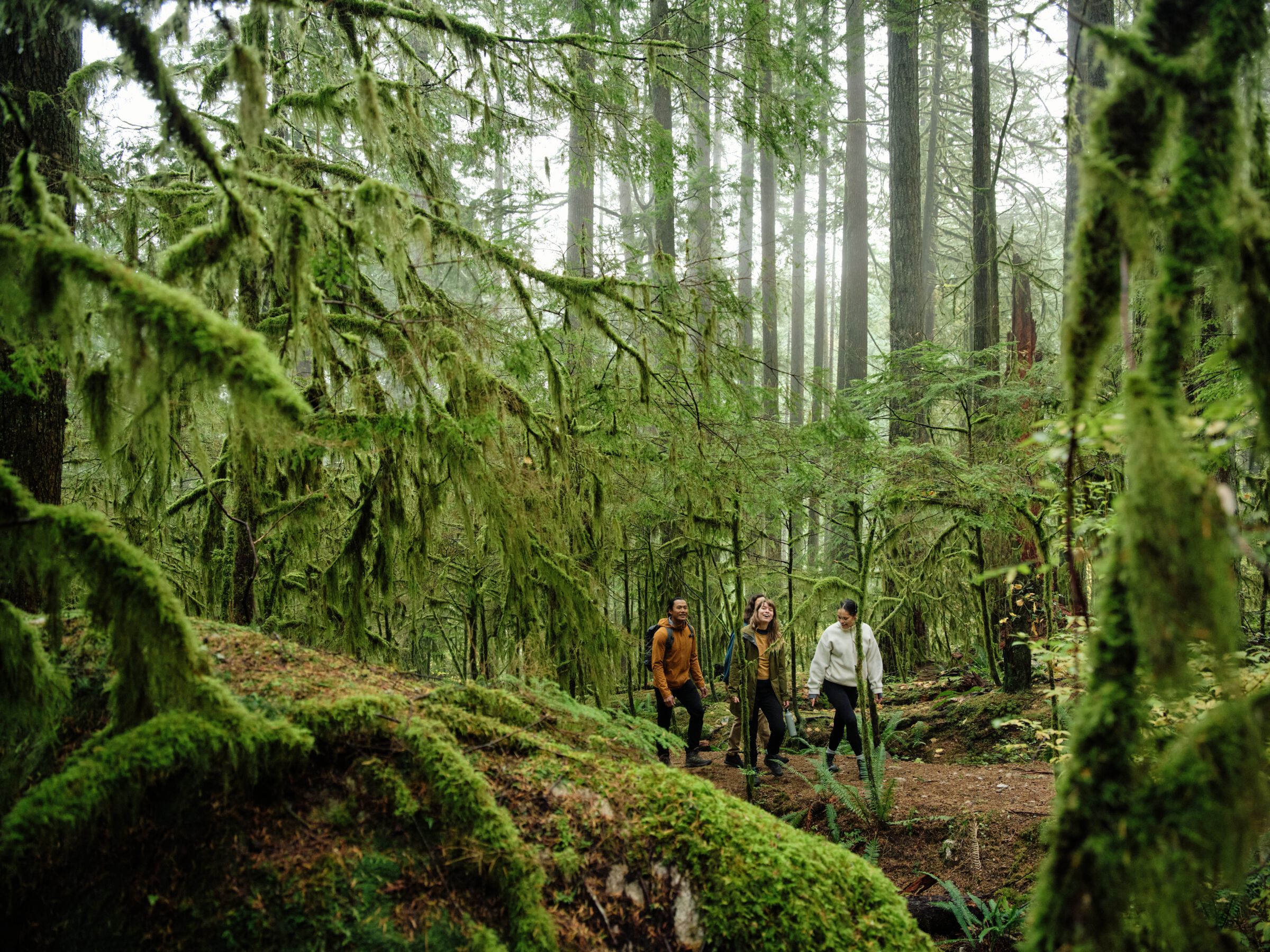 Friends hiking and admiring the natural scenery in Lynn Canyon Park.