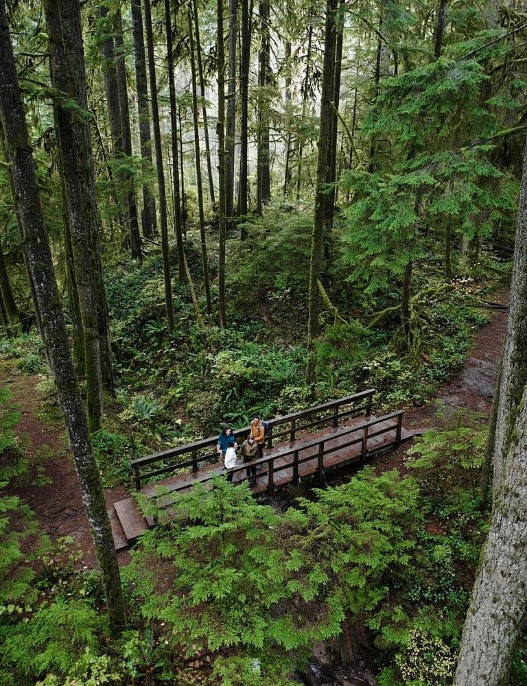 Friends hiking and admiring the natural scenery in Lynn Canyon Park.