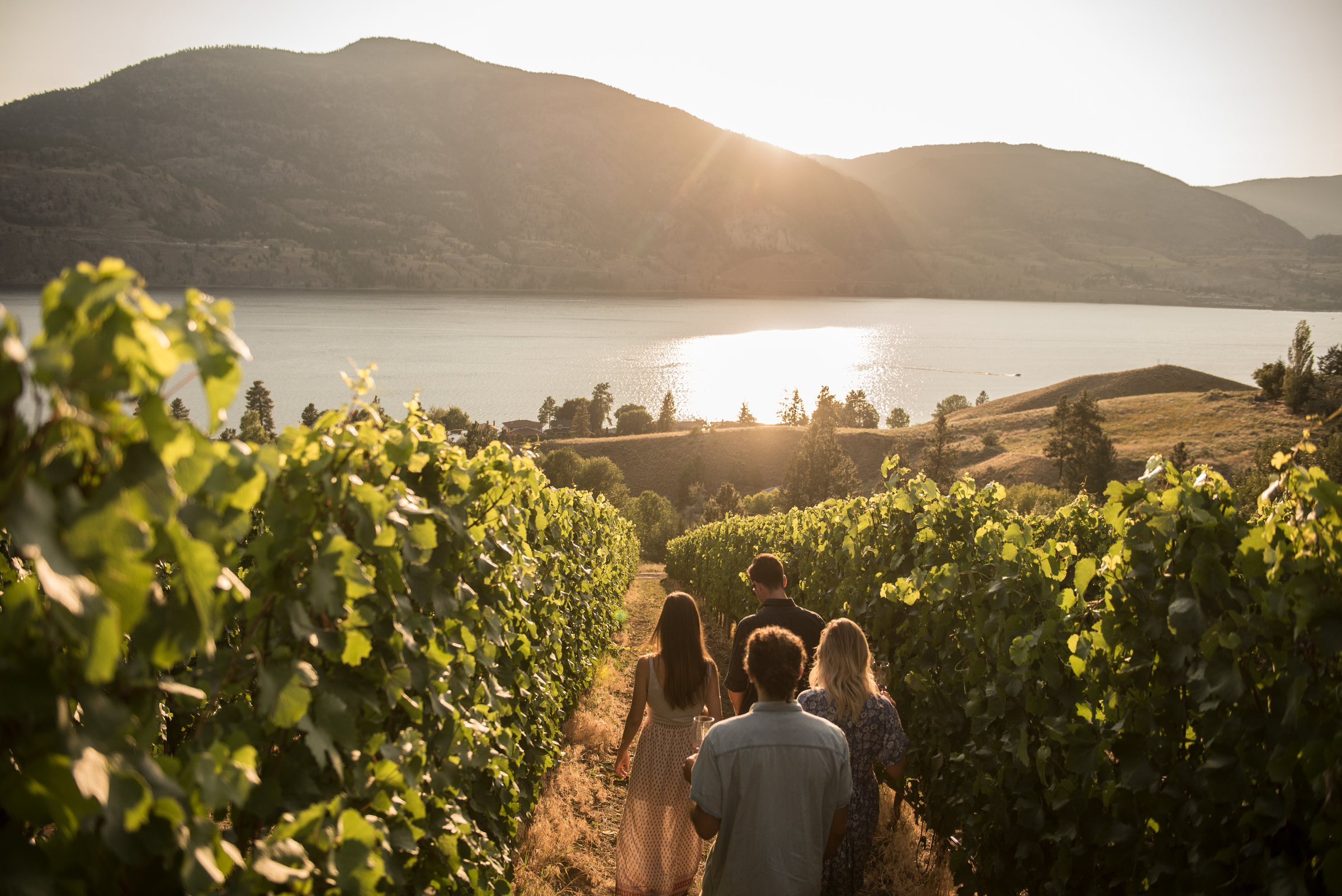 A group walks through the vineyards at Painted Rock Estate Winery Ltd with views of Skaha Lake