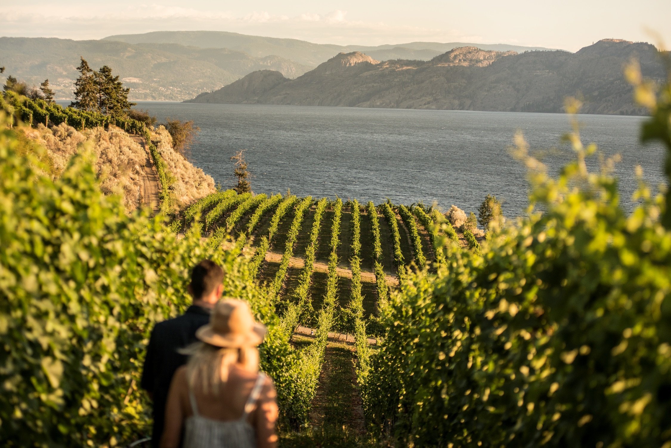 Two people at Evolve Cellars Vineyard with views of Okanagan Lake