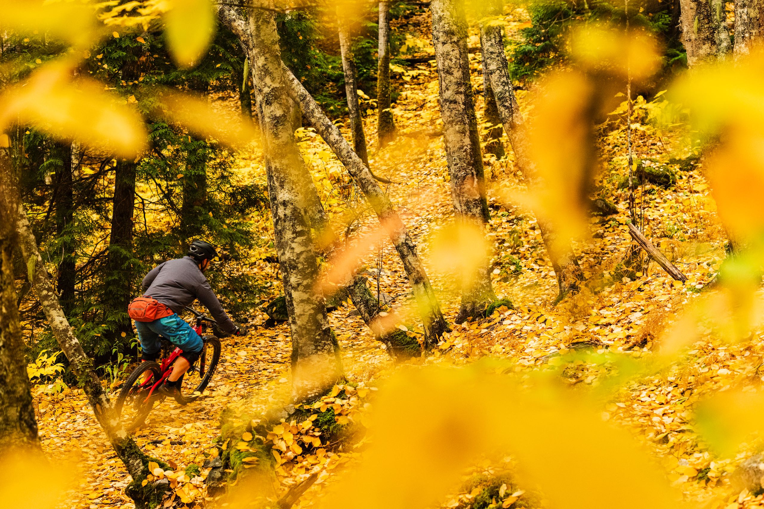 Mountain Biking in Terrace.