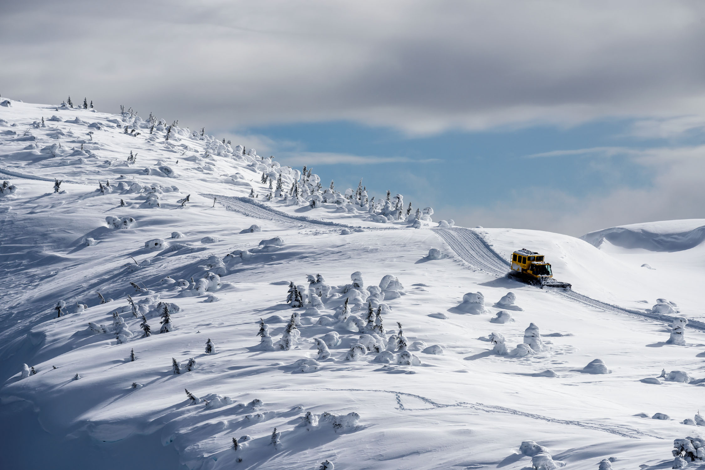 在北部不列颠哥伦比亚省进行雪地履带车滑雪