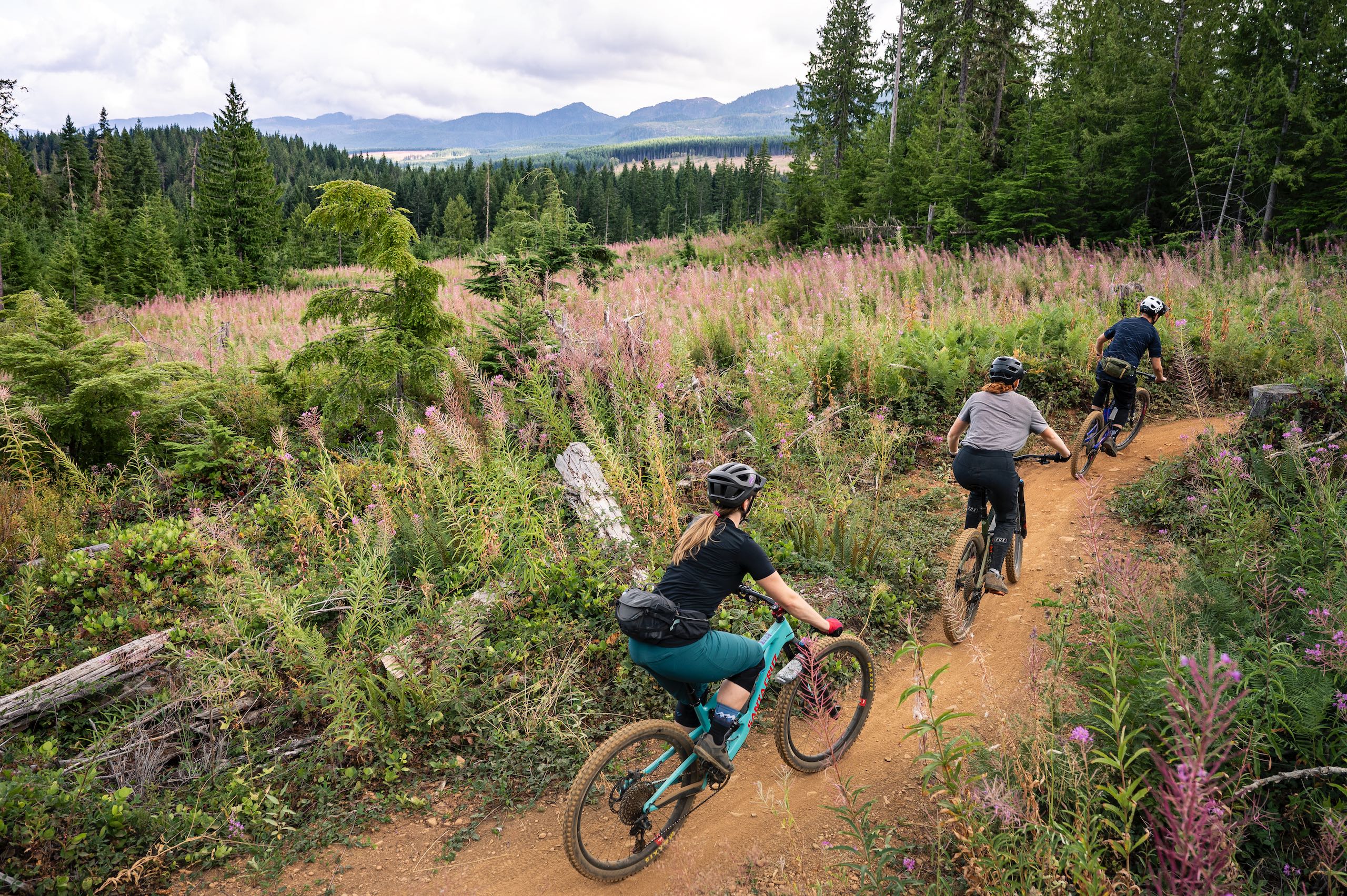 Mountain biking in Cumberland on Sobo No Michi, which means 