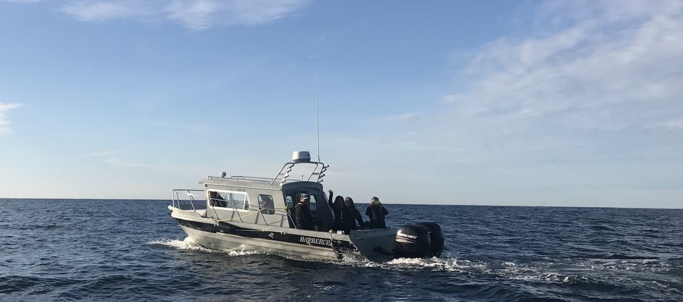 A boat on a whale watching trip in BC