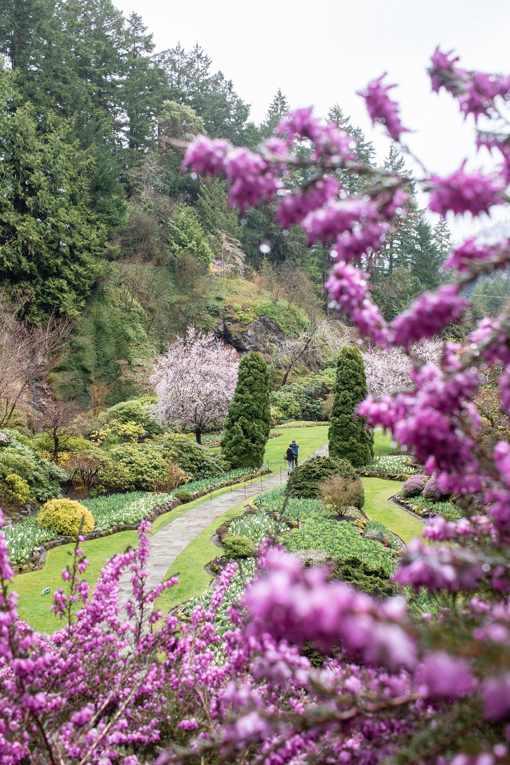 Spring in Butchart Garden