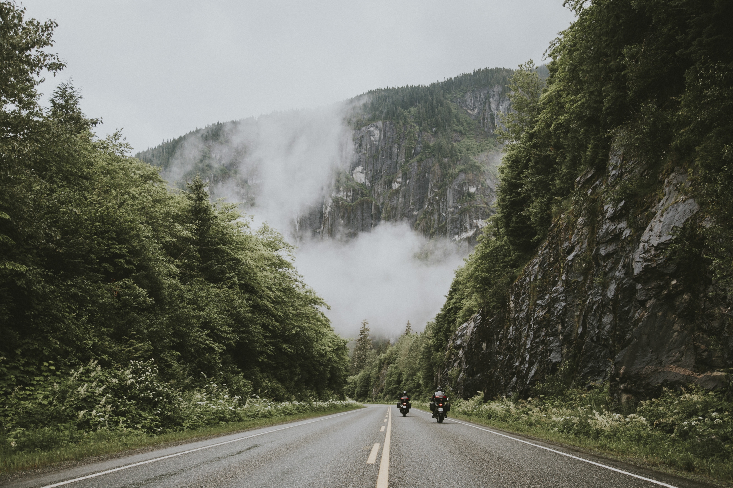 Two motorcycles ride down Route 16 between lush green forest.