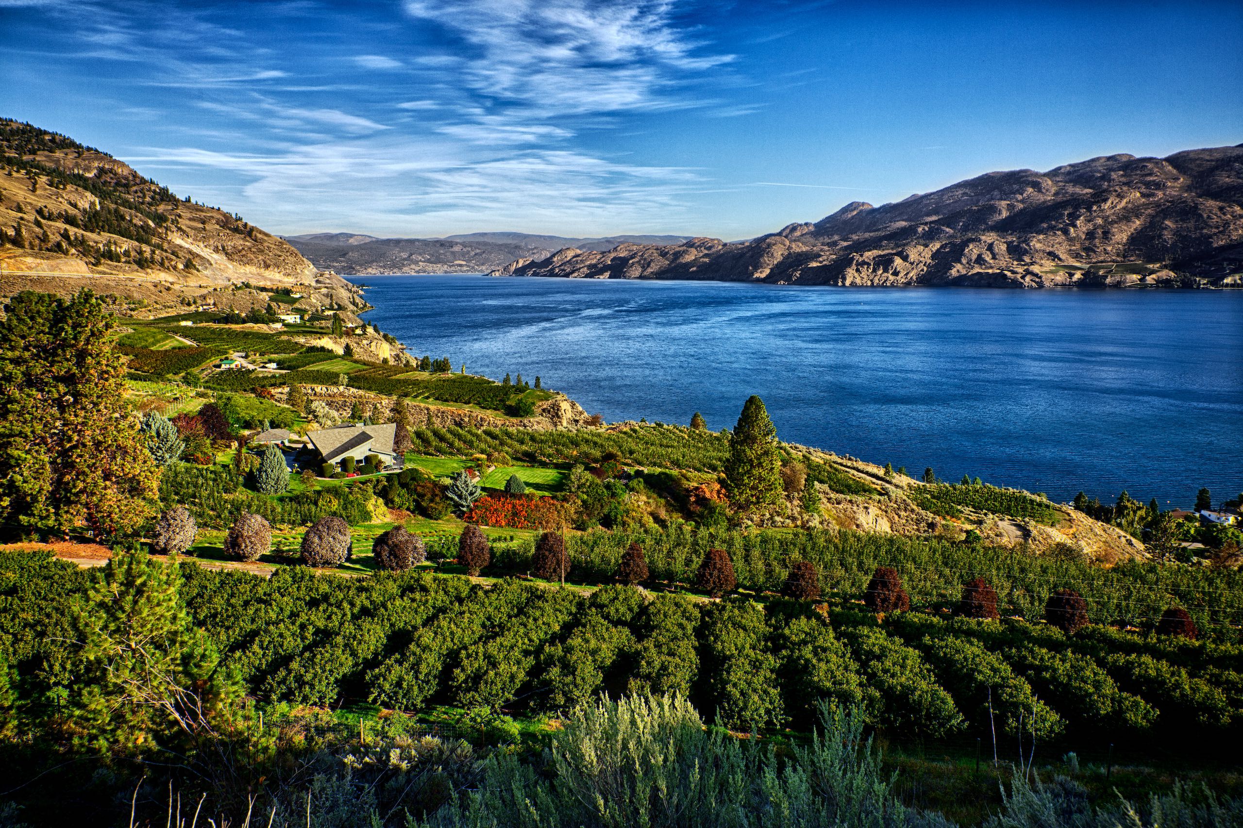 A view of Okanagan Lake from a vineyard in Summerland.
