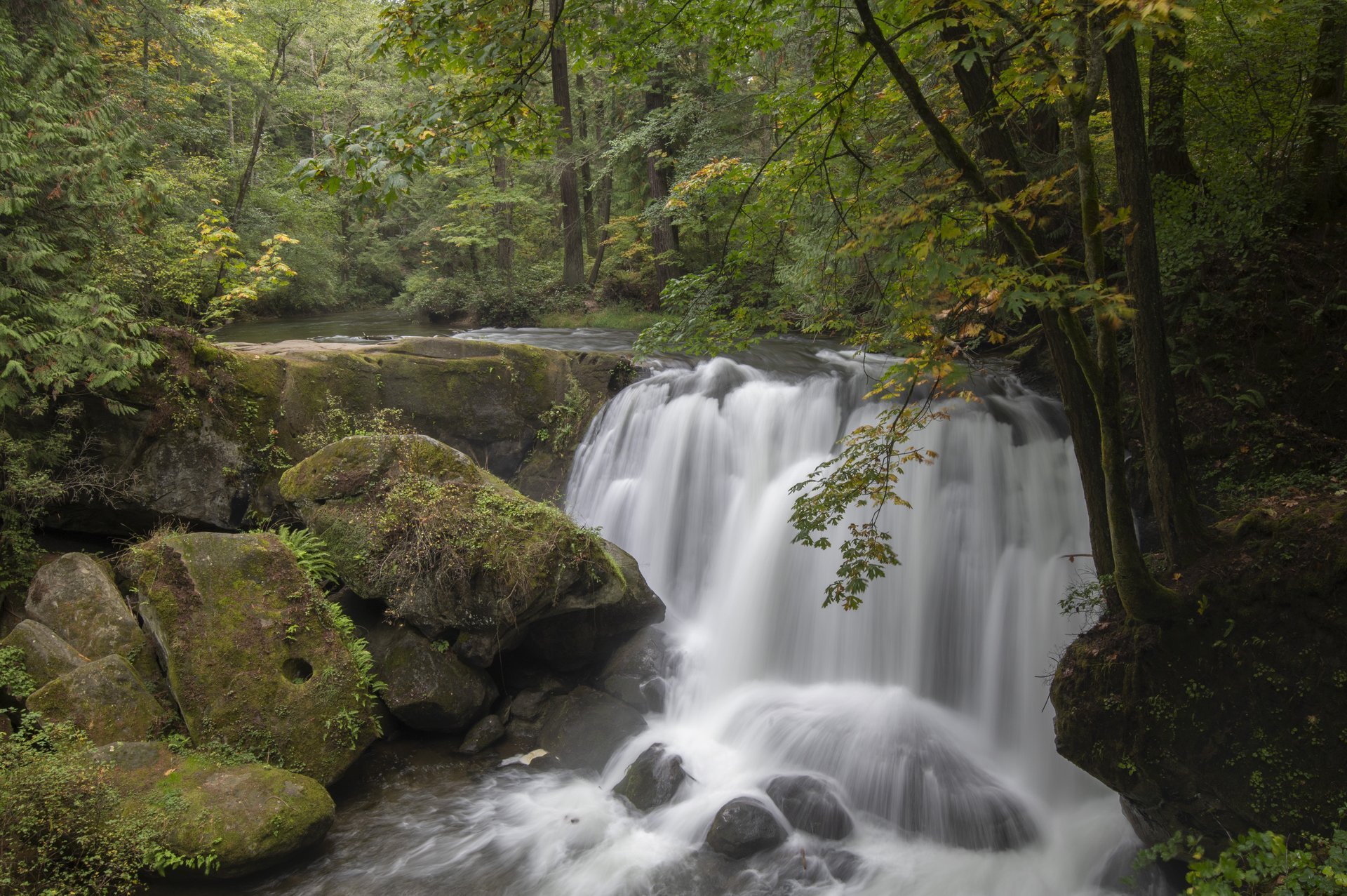 Lush forest setting with a short but powerful waterfall cascading onto boulders below.