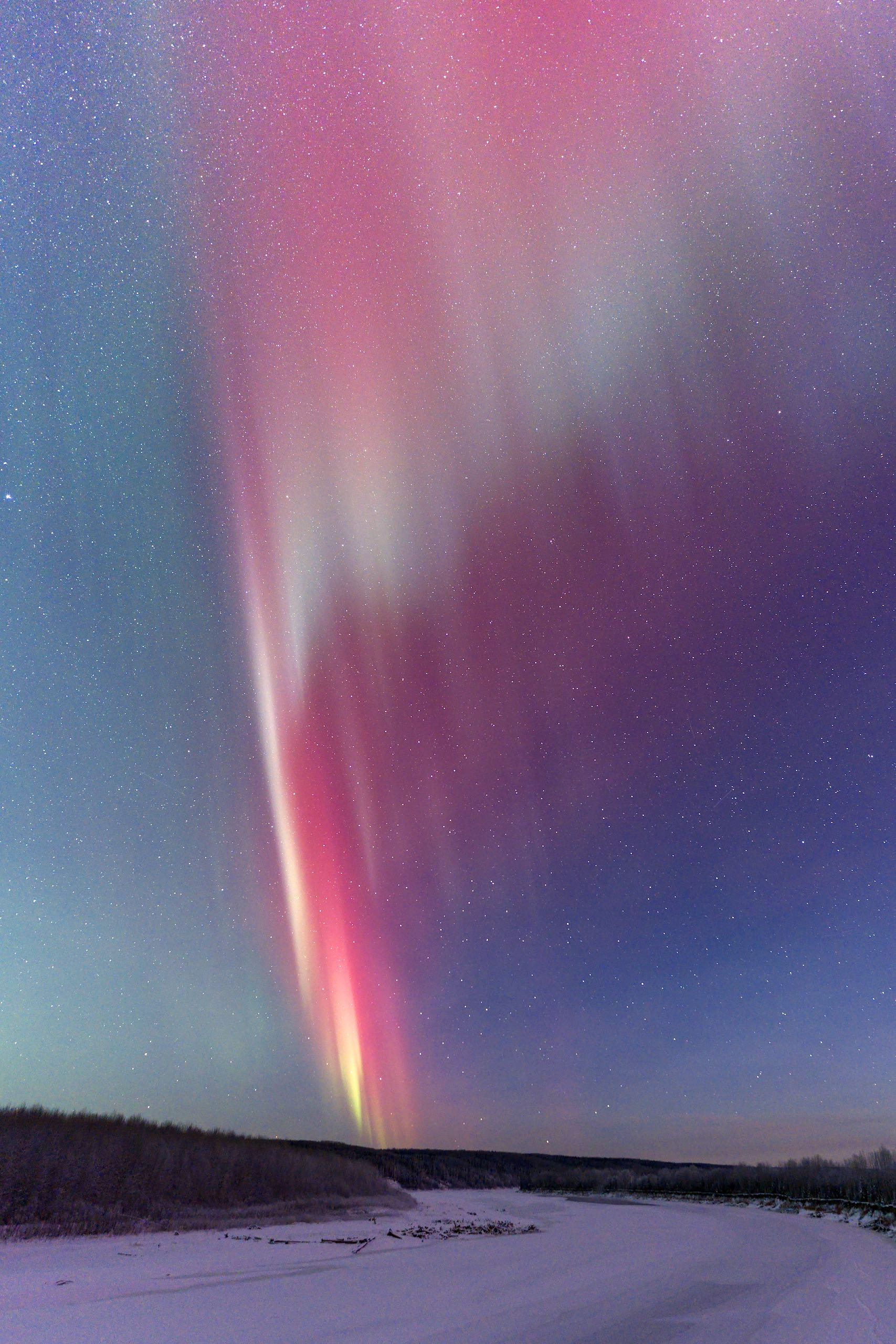 石羊在 BC 的 Muncho Lake 省立公园穿越阿拉斯加公路