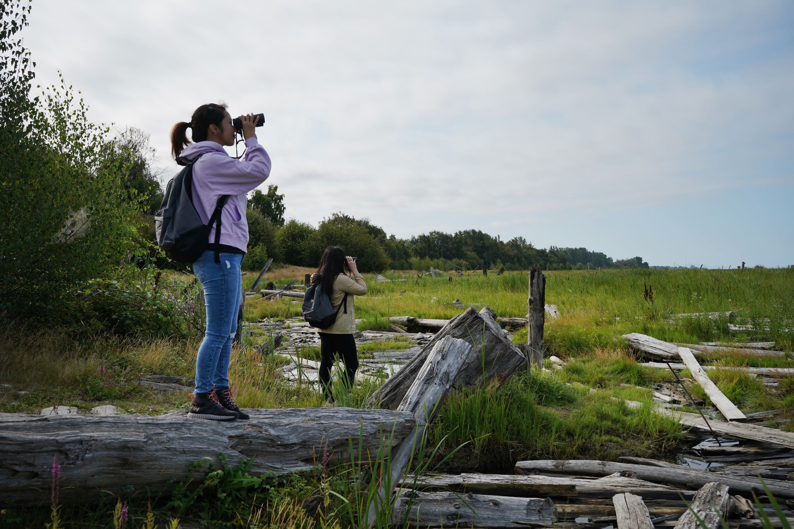 Two people bird watching and exploring Terra Nova Rural Park in Richmond.