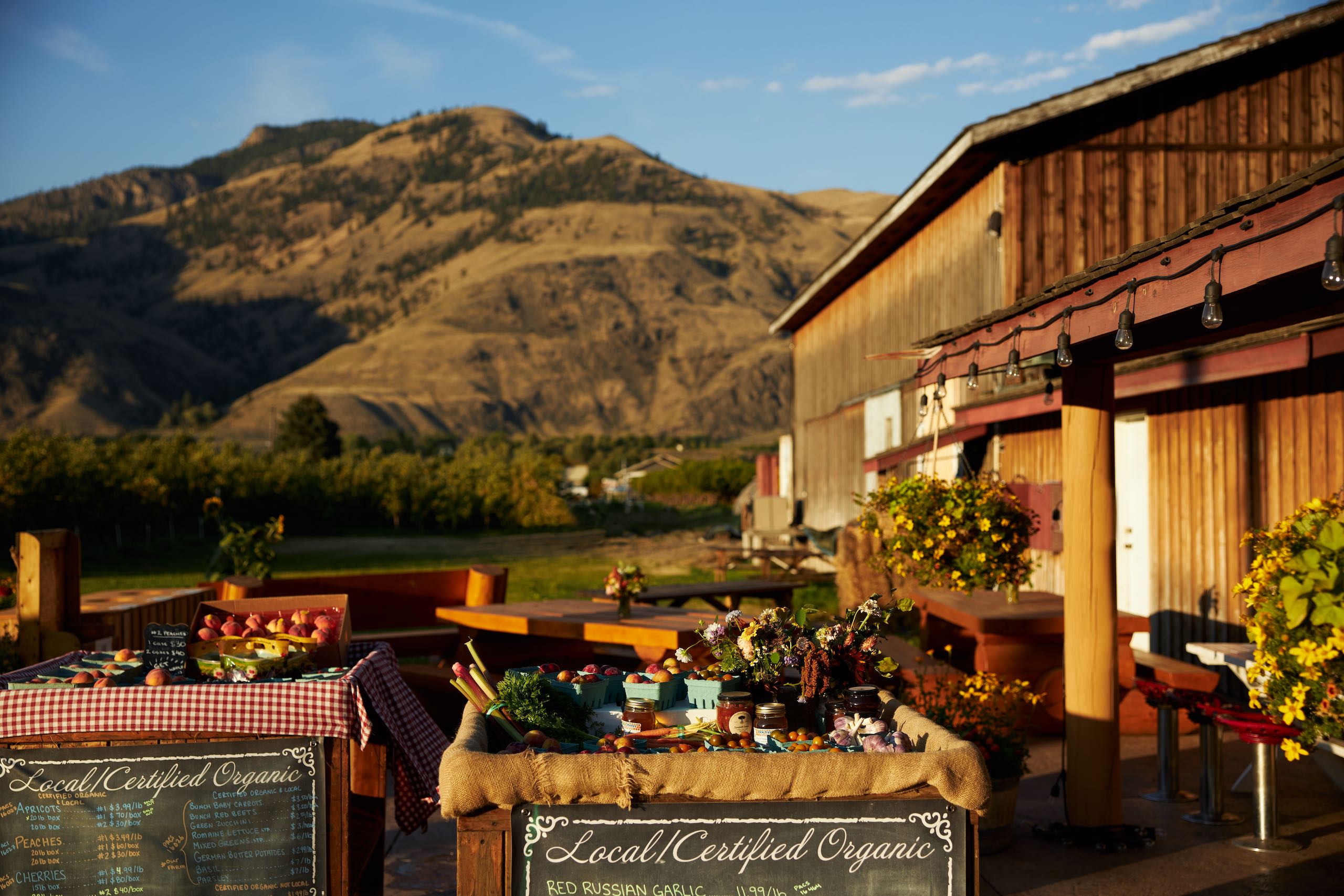 西米尔卡米恩的 Harkers 有机杂货店